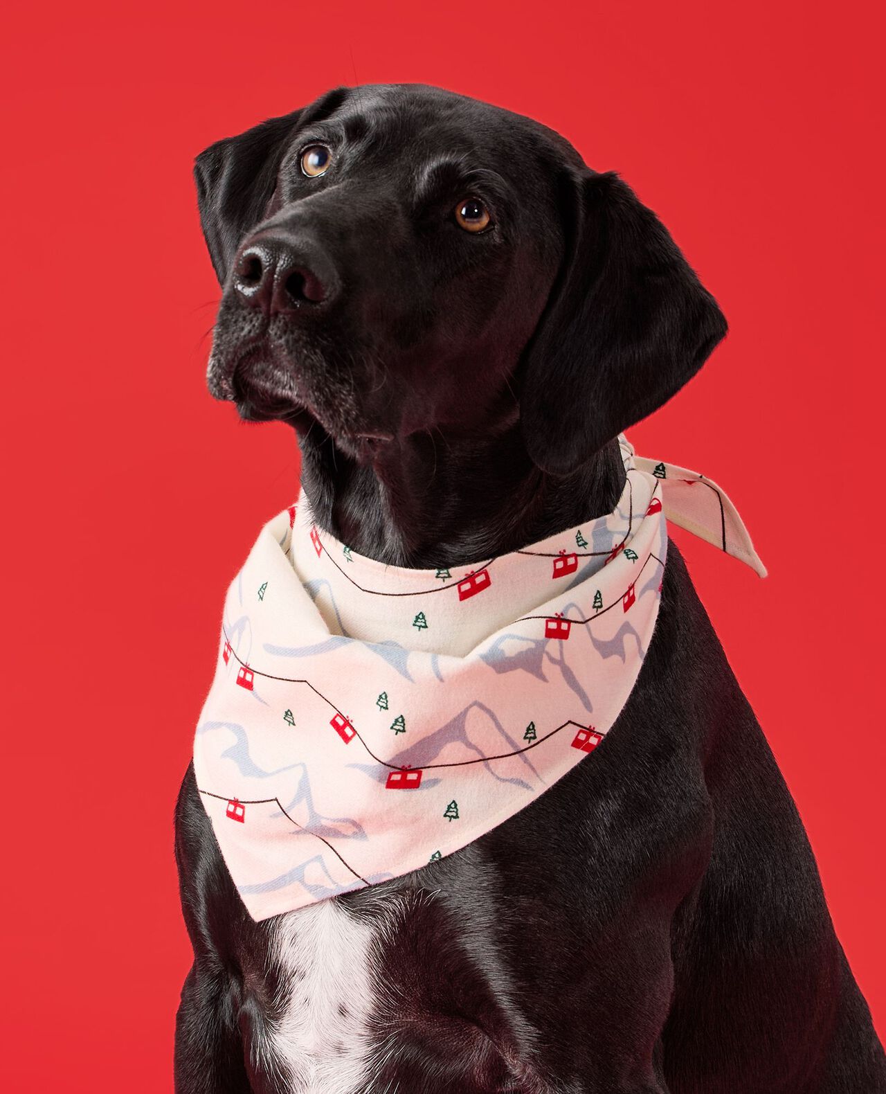 Flannel Dog Bandana - Image 3