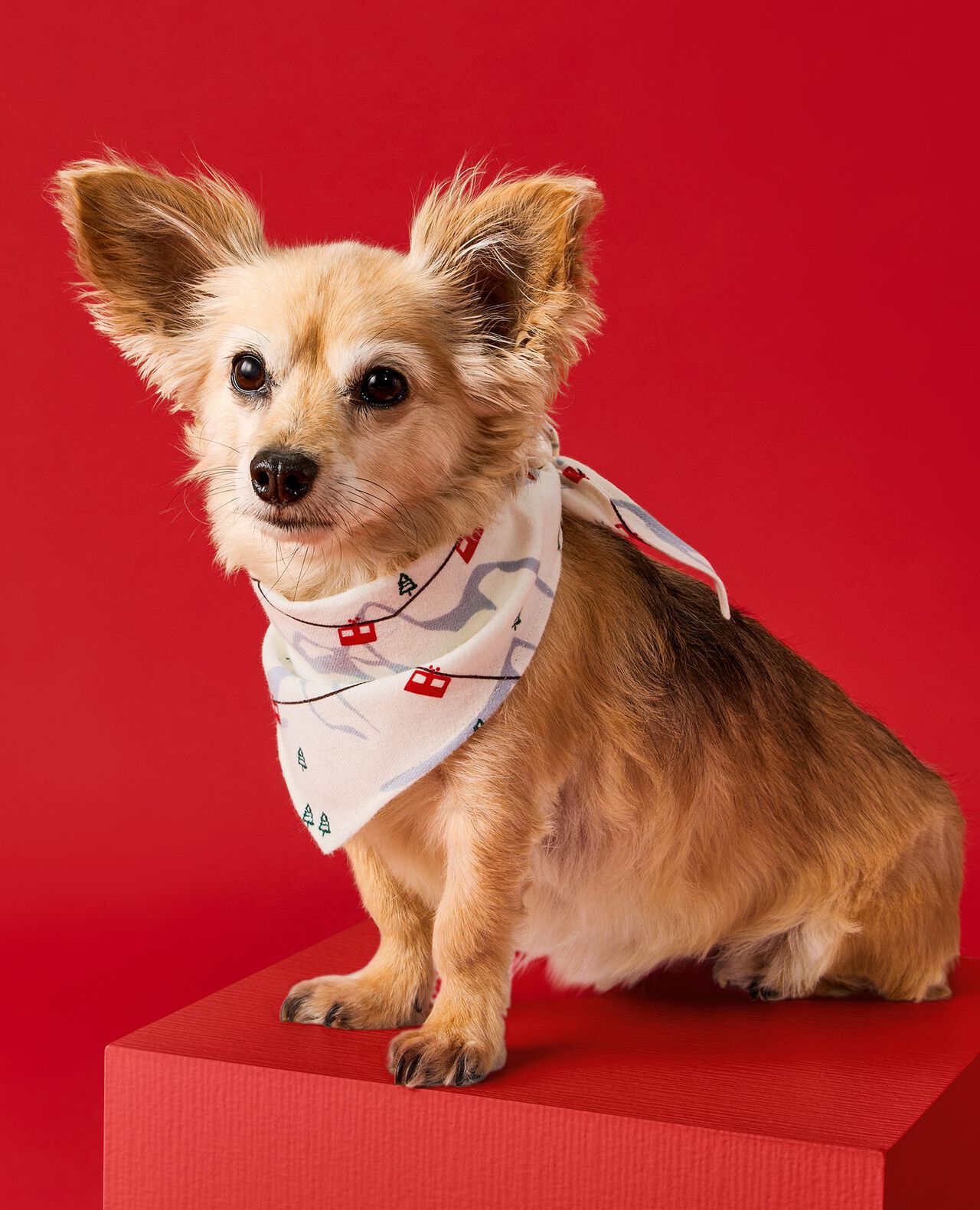 Flannel Dog Bandana - Image 4