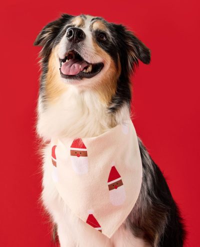 Flannel Dog Bandana