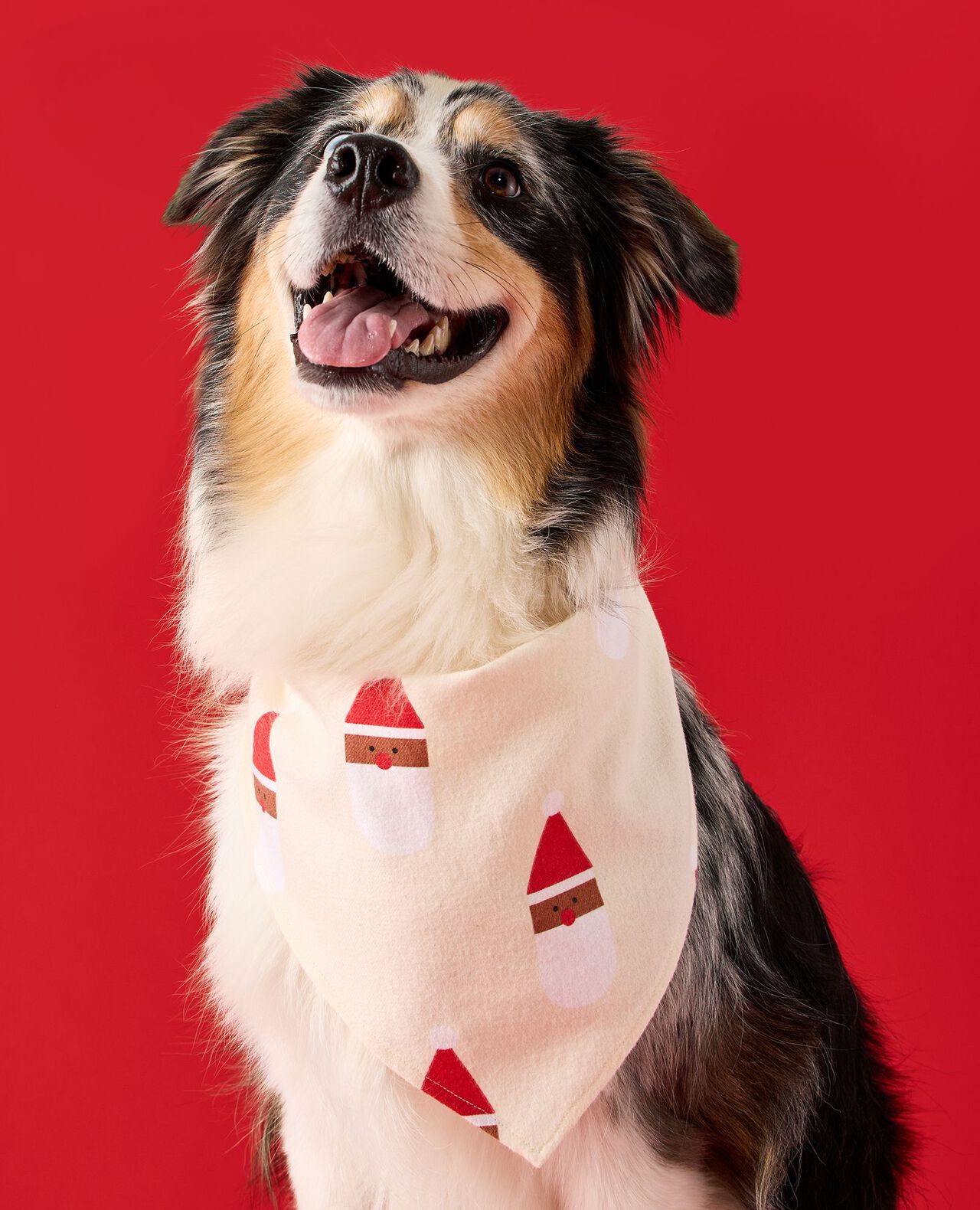 Flannel Dog Bandana