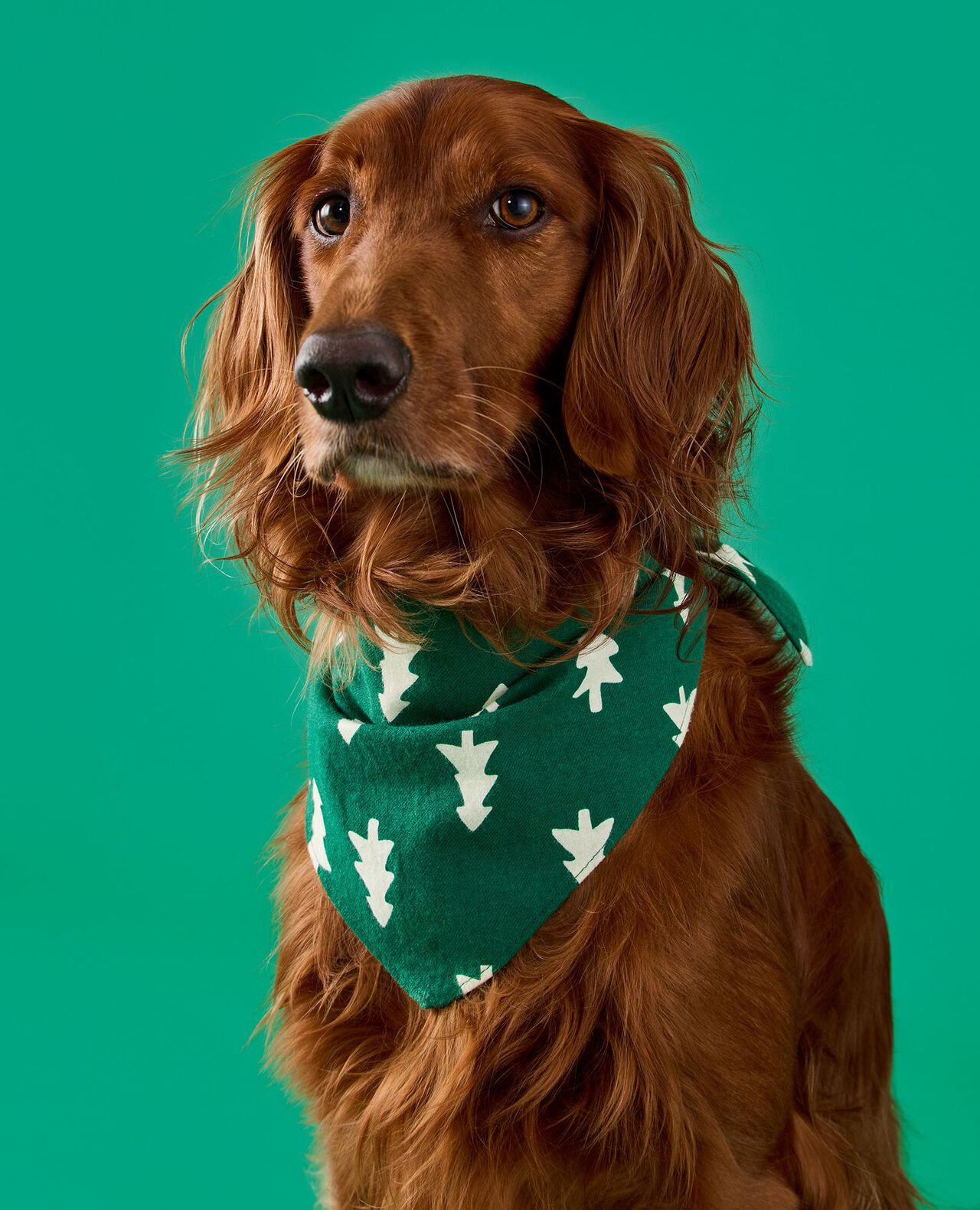Holiday Flannel Dog Bandana