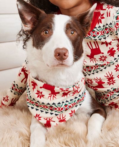 Holiday Flannel Dog Bandana