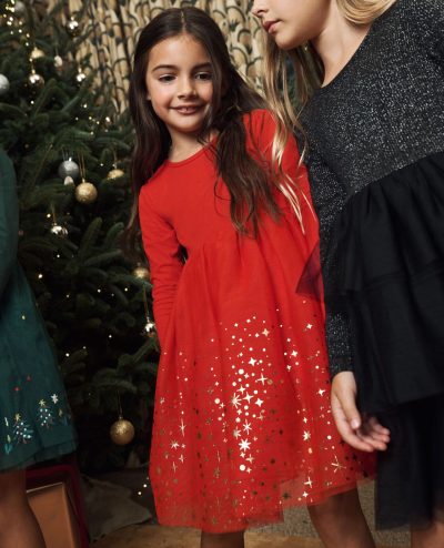 Long Sleeve Shimmer Tulle Dress