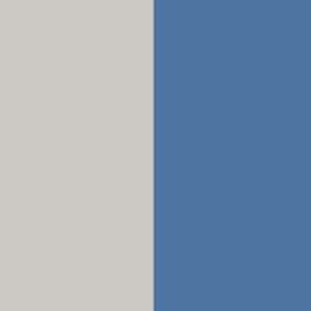 Canvas Chino Shorts - Image 10