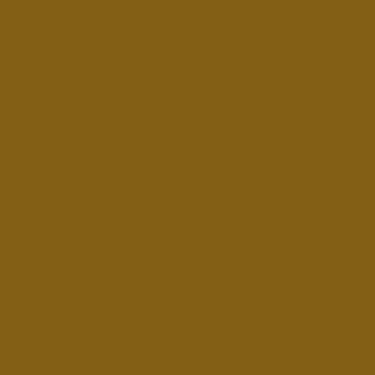 Loose Fit Canvas Carpenter Pants - Image 10