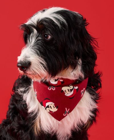 Disney Mickey Mouse Holiday Flannel Dog Bandana
