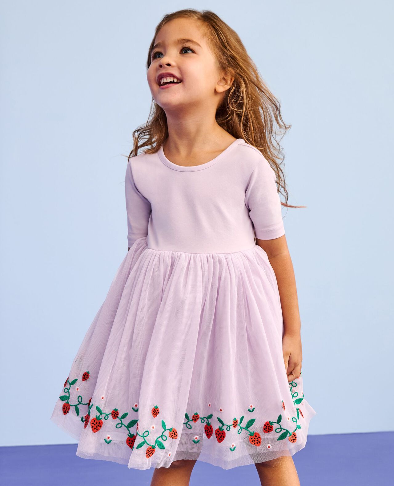Tulle Embroidered Skater Dress - Image 4