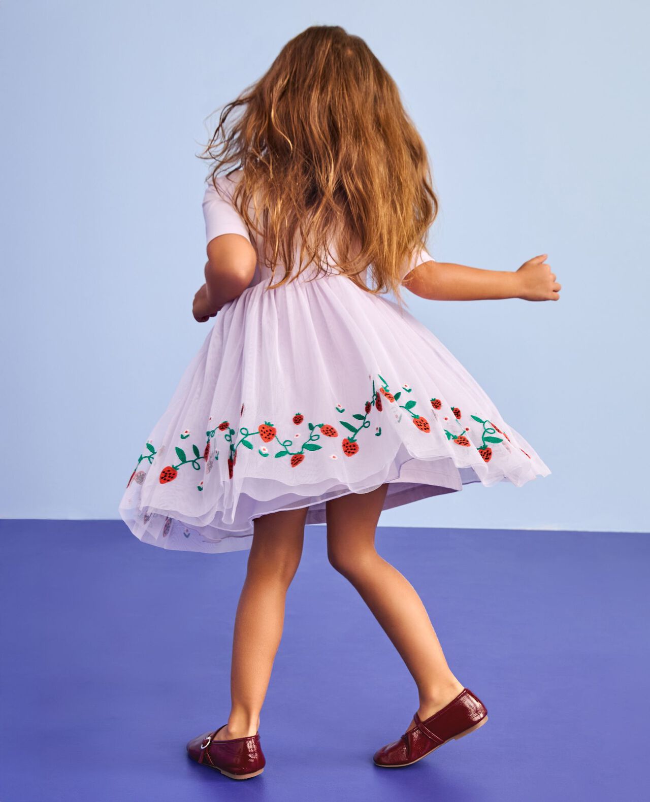 Tulle Embroidered Skater Dress - Image 5