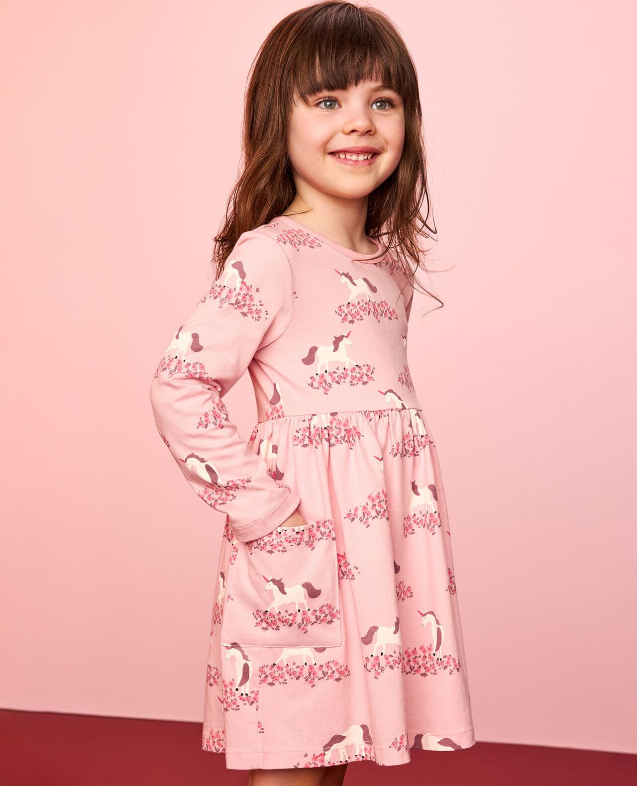 Long Sleeve Playground Dress with Pockets
