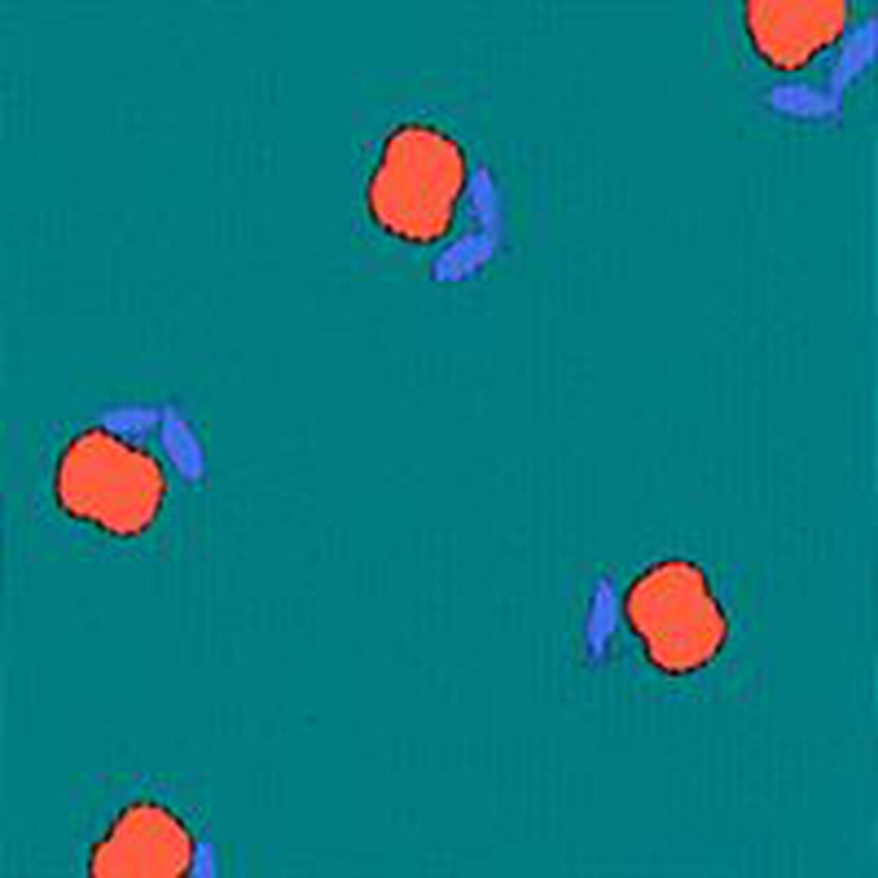 Flare Leggings - Image 7