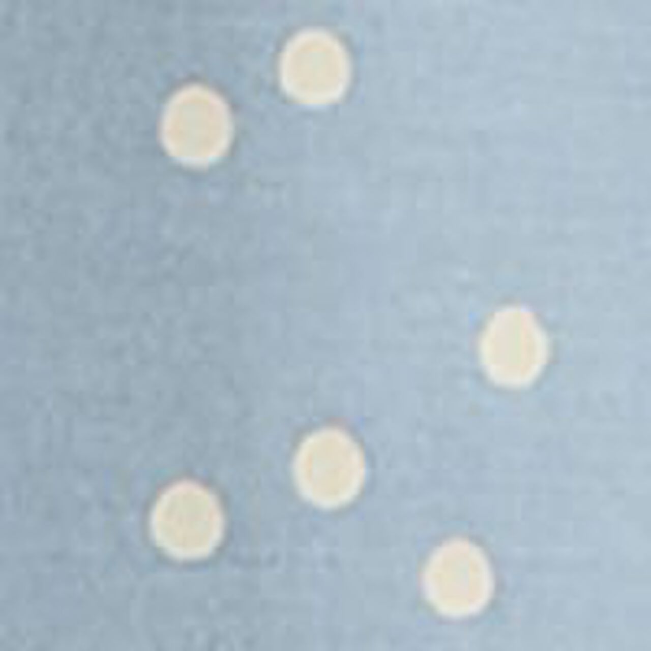 Women's Holiday HannaSoft™ Sleep Dress - Image 4